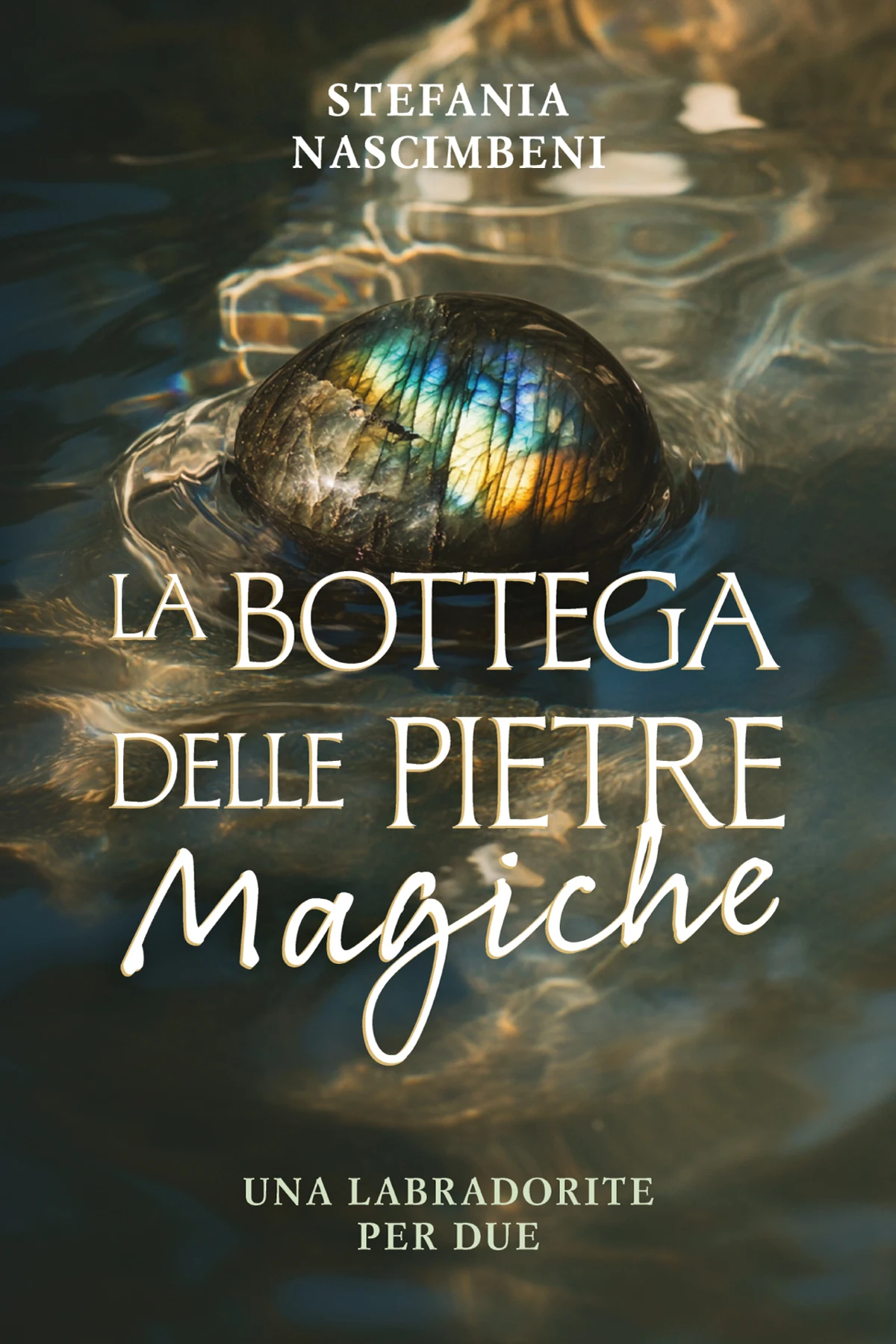 Copertina di La bottega delle pietre magiche